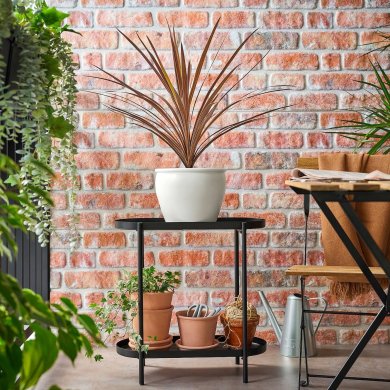 IKEA CORDYLINE INDIVISA (ИКЕА CORDYLINE INDIVISA) 80574631 фото - 2