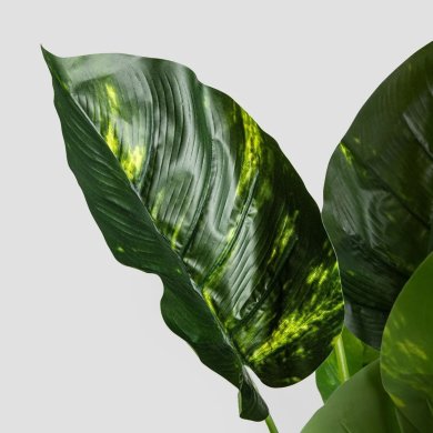 Искусственное растение Homla DIFENBACHIA 110 см Зеленый 237258 фото - 2
