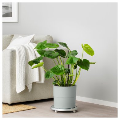 Кашпо NYPON - 5 IKEA Кашпо NYPON (ИКЕА НАЙПОН) 00395624 фото - 5