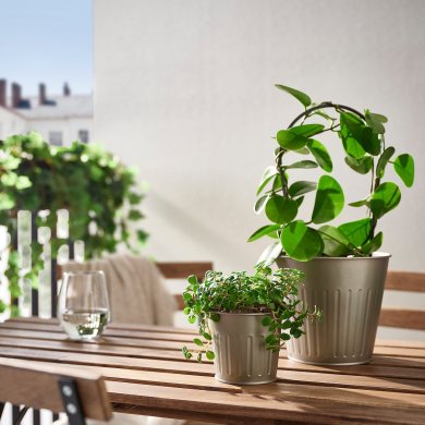 IKEA CITRONMELISS (ИКЕА ЦИТРОНМЕЛИСС) 70574189 фото - 4