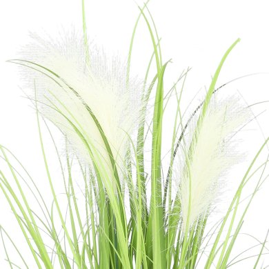 Штучна рослина в горщику Homla GRASS 57 см | Зелений / Чорний / Екрю - 2 Штучна рослина в горщику Homla GRASS 57 см | Зелений / Чорний / Екрю 163772 фото - 2