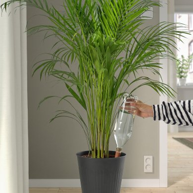 SVAMSKOG - 2 IKEA SVAMSKOG (ИКЕА СВАМСКОГ) 80570874 фото - 2