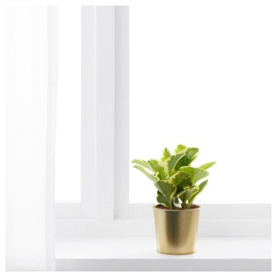 IKEA кашпо DAIDAI (ИКЕА DAIDAI) 70359401 фото - 5