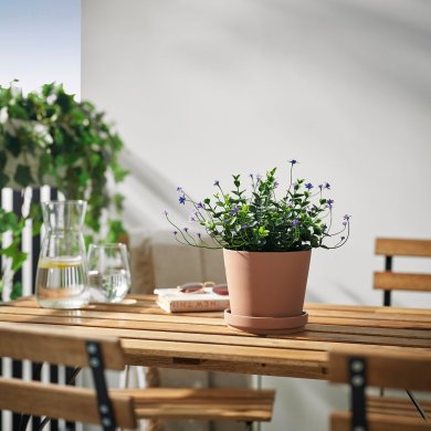 IKEA FEJKA (ИКЕА ФАЛЬШИВЫЙ) 80613251 фото - 3