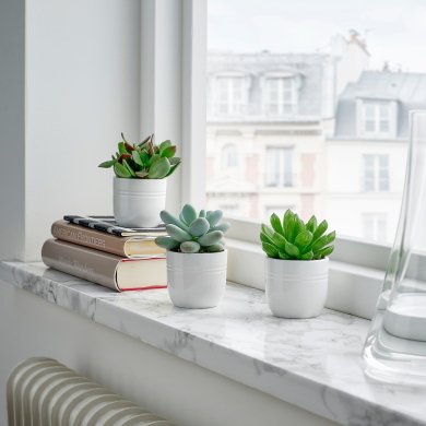 SUCCULENT - 3 IKEA SUCCULENT (ИКЕА СУККУЛЕНТНЫЙ) 00564443 фото - 3