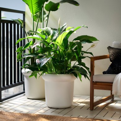 IKEA MABARSBUSKE (ИКЕА МАБАРСБУСКЕ) 30612471 фото - 5