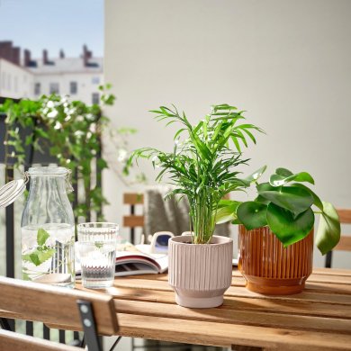 IKEA HONUNGSPALM (ИКЕА ХОНУНГСПАЛМ) 90595789 фото - 4