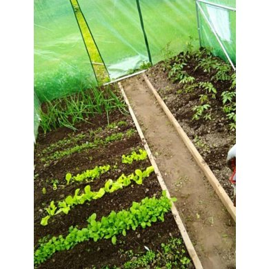 Парник теплица Garden Line 4x2,5x2 м Белый TUN5590 фото - 10
