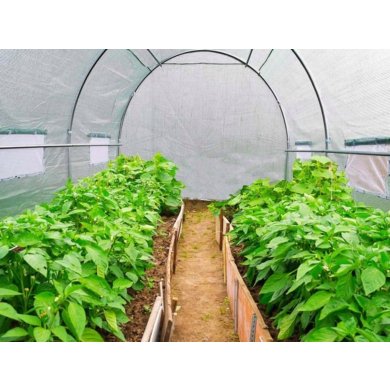 Парник теплиця Kontrast 18 м² 6x3х2 м Зелений - 11 Парник теплиця Kontrast 18 м² 6x3х2 м Зелений 5.07.27292 фото - 11