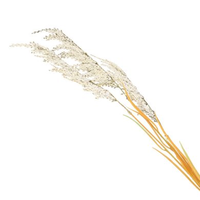 Искусственная ветвь Homla TRIGO 132 см | Золотой / Белый - 2 Искусственная ветвь Homla TRIGO 132 см | Золотой / Белый 209107 фото - 2