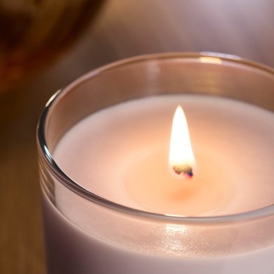 IKEA LOTSFAGEL (ИКЕА ЛОТСФАГЕЛЬ) 00608376 фото - 2