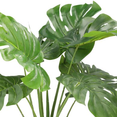 Искусственное растение в горшке Homla TROPICAL ZONE 90 см | Зеленый / Черный - 3 Искусственное растение в горшке Homla TROPICAL ZONE 90 см | Зеленый / Черный 164637 фото - 3