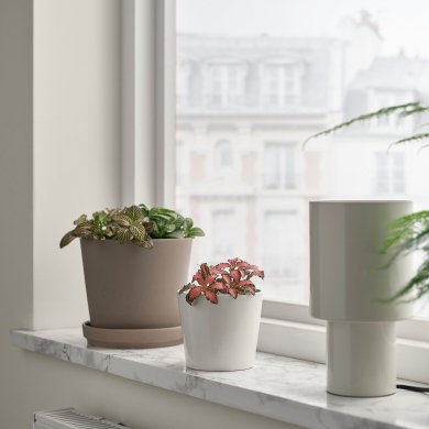 FITTONIA - 2 IKEA FITTONIA (ИКЕА ФИТТОНИЯ) 00598693 фото - 2