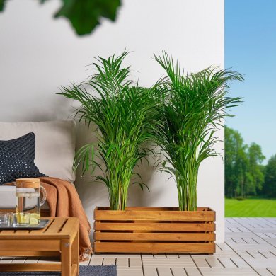 IKEA STJARNANIS (ИКЕА СТЬЯРНАНИС) 10584775 фото - 9