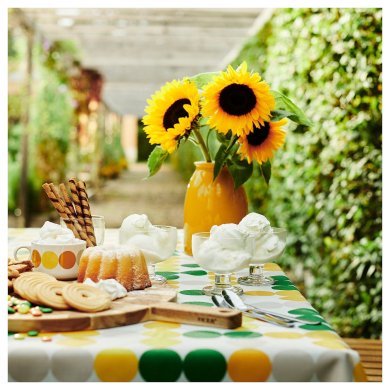 IKEA BROGGAN (ИКЕА БРОГГАН) 30570485 фото - 5