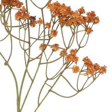 Штучна гілка Homla CLADEL 24 см | Гірчичний 208369 фото - 4