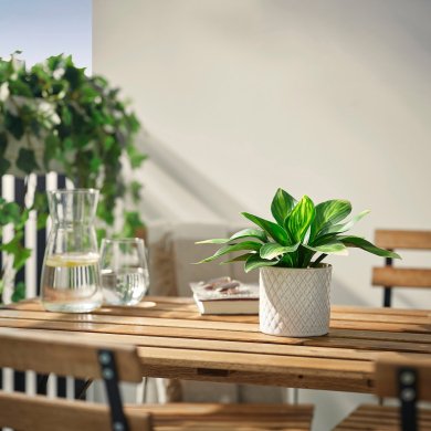 IKEA FEJKA (ИКЕА ФАЛЬШИВЫЙ) 00610751 фото - 2