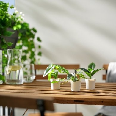 IKEA FEJKA (ИКЕА ФАЛЬШИВЫЙ) 40630064 фото - 2