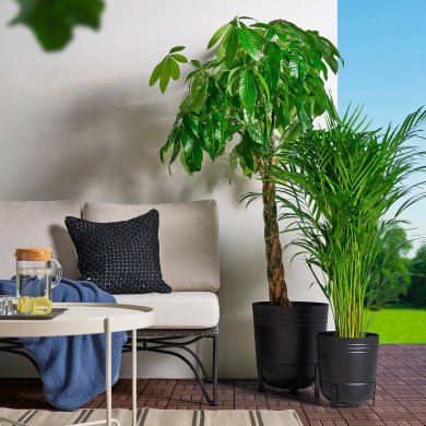 IKEA PARLRONN (ИКЕА ПАРЛРОНН) 90582254 фото - 2