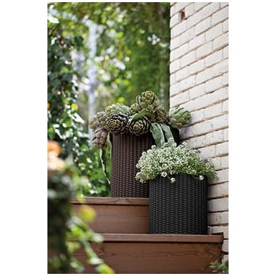 Набір кашпо для квітів Keter Cylinder Planters S/M/L | Коричневий 220455 фото - 3