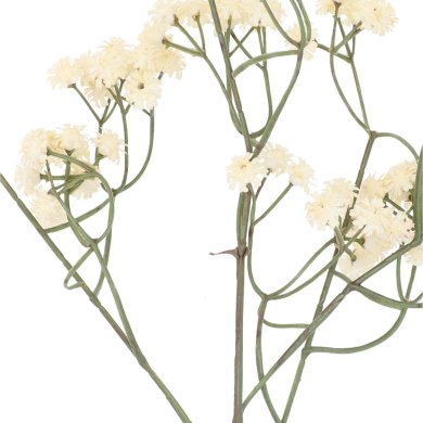 Штучна гілка Homla CLADEL 24 см | Екрю - 3 Штучна гілка Homla CLADEL 24 см | Екрю 200200 фото - 3