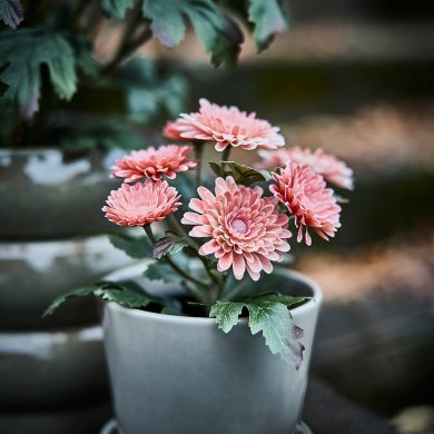 IKEA FEJKA (ИКЕА ФАЛЬШИВЫЙ) 20631210 фото - 4
