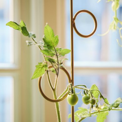 IKEA DOFTRIPS (ИКЕА ДОФТРИПС) 40612362 фото - 3