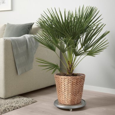 IKEA FRIDFULL (ИКЕА ФРИДФУЛ) 70513412 фото - 4