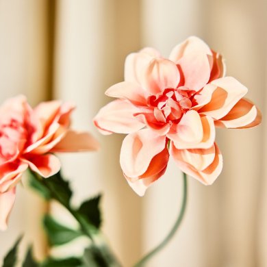 IKEA SMYCKA (ИКЕА СМЫЦКАЯ) 60606058 фото - 2