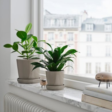 KLOTLONN - 5 IKEA KLOTLONN (ИКЕА КЛОТЛОНН) 50584009 фото - 5