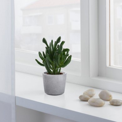 IKEA BOYSENBAR (ИКЕА БОЙСЕНБЕР) 10500511 фото - 2