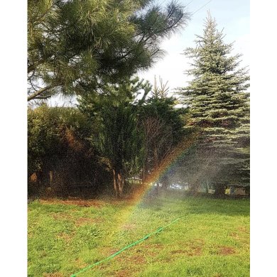 Спринклерний шланг для полива Garden Line 7,5 м Зелений EDA8853 фото - 3