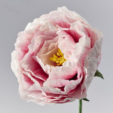 IKEA GULDSPETT (ИКЕА ГУЛДСПЕТТ) 40614974 фото - 4