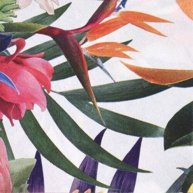 Салфетки Duka Eden | Белый / Цветочный принт 2220828 фото - 2