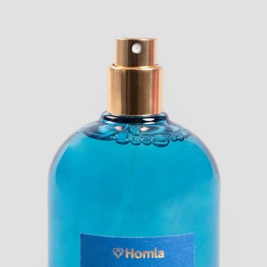 Интерьерные духи Homla COLOR BLOCK Coconut Amber 100 мл Синий 239387 фото - 3