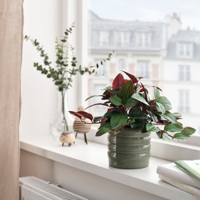 IKEA HASSELBUKETT (ИКЕА ХАССЕЛЬБУКЕТТ) 70641358 фото - 4