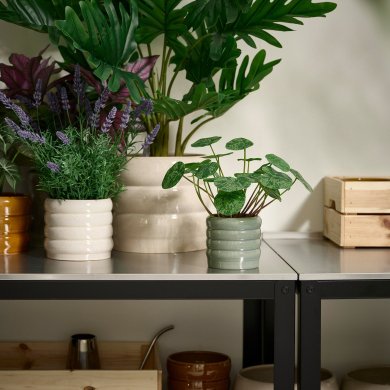 IKEA HASSELBUKETT (ИКЕА ХАССЕЛЬБУКЕТТ) 10641356 фото - 3