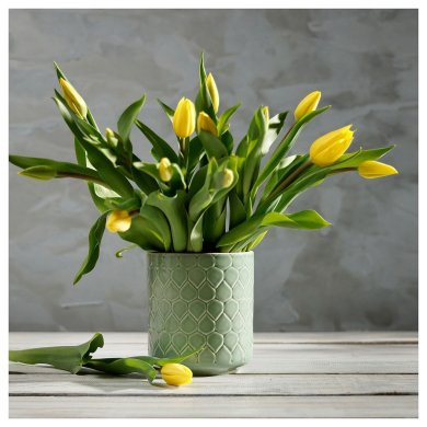 IKEA KRYPIDEGRAN (ИКЕА КРИПИДЕГРАН) 80567386 фото - 2