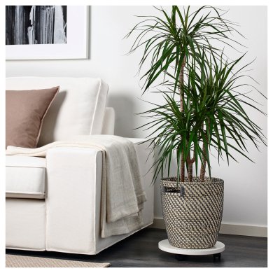 Кашпо RAGKORN - 6 IKEA Кашпо RAGKORN (ИКЕА РАГКОРН) 00407556 фото - 6