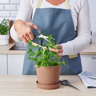 SVARDFISK - 5 IKEA SVARDFISK (ИКЕА СВАРДФИСК) 60563431 фото - 5