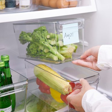 IKEA KLIPPKAKTUS (ИКЕА КЛИППАКТУС) 60568886 фото - 2