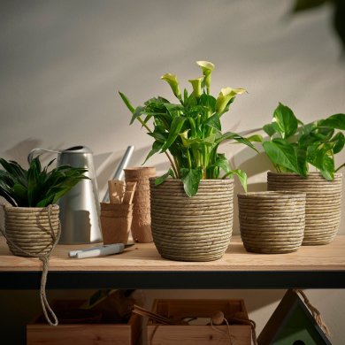 IKEA SANDODLA (ИКЕА САНДОДЛ) 30630168 фото - 3