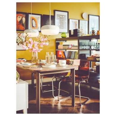 IKEA BLASVERK (ИКЕА БЛАСВЕРК) 60520903 фото - 5