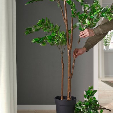 IKEA FEJKA (ИКЕА ФАЛЬШИВЫЙ) 30615276 фото - 2