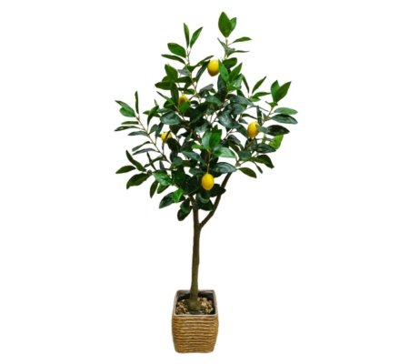 Штучна рослина Homla CYTRYN 115 см Зелений