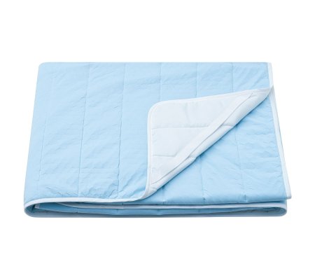 IKEA REXBEGONIA (ИКЕА Рексбегония)