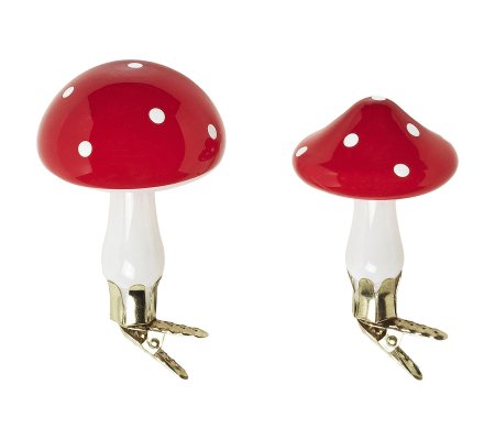 VINTERFINT, фото VINTERFINT