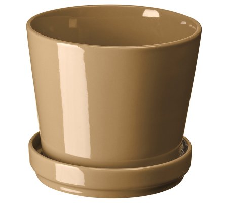 IKEA CITRUSFRUKT (ИКЕА ЦИТРУСОВЫЕ ФРУКТЫ)