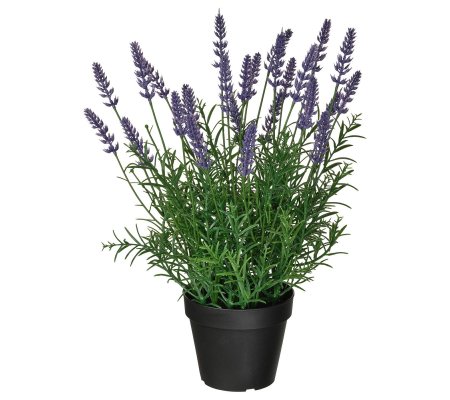 IKEA FEJKA (ИКЕА ФАЛЬШИВЫЙ)