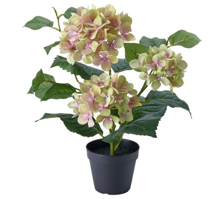 IKEA FEJKA (ИКЕА ФАЛЬШИВЫЙ)